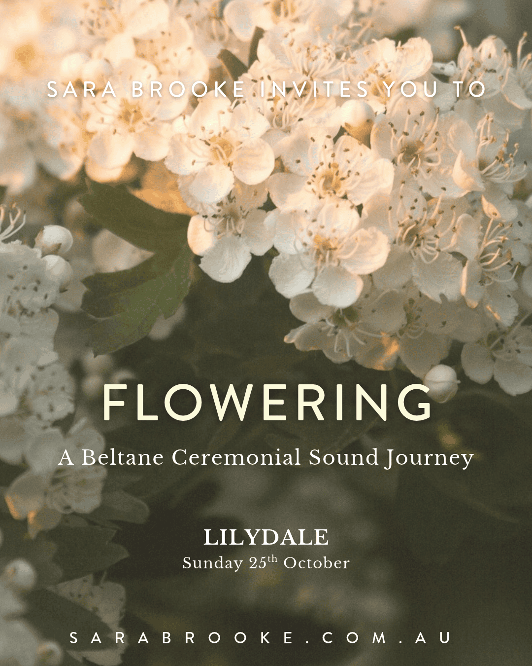 lilydale sound ceremony